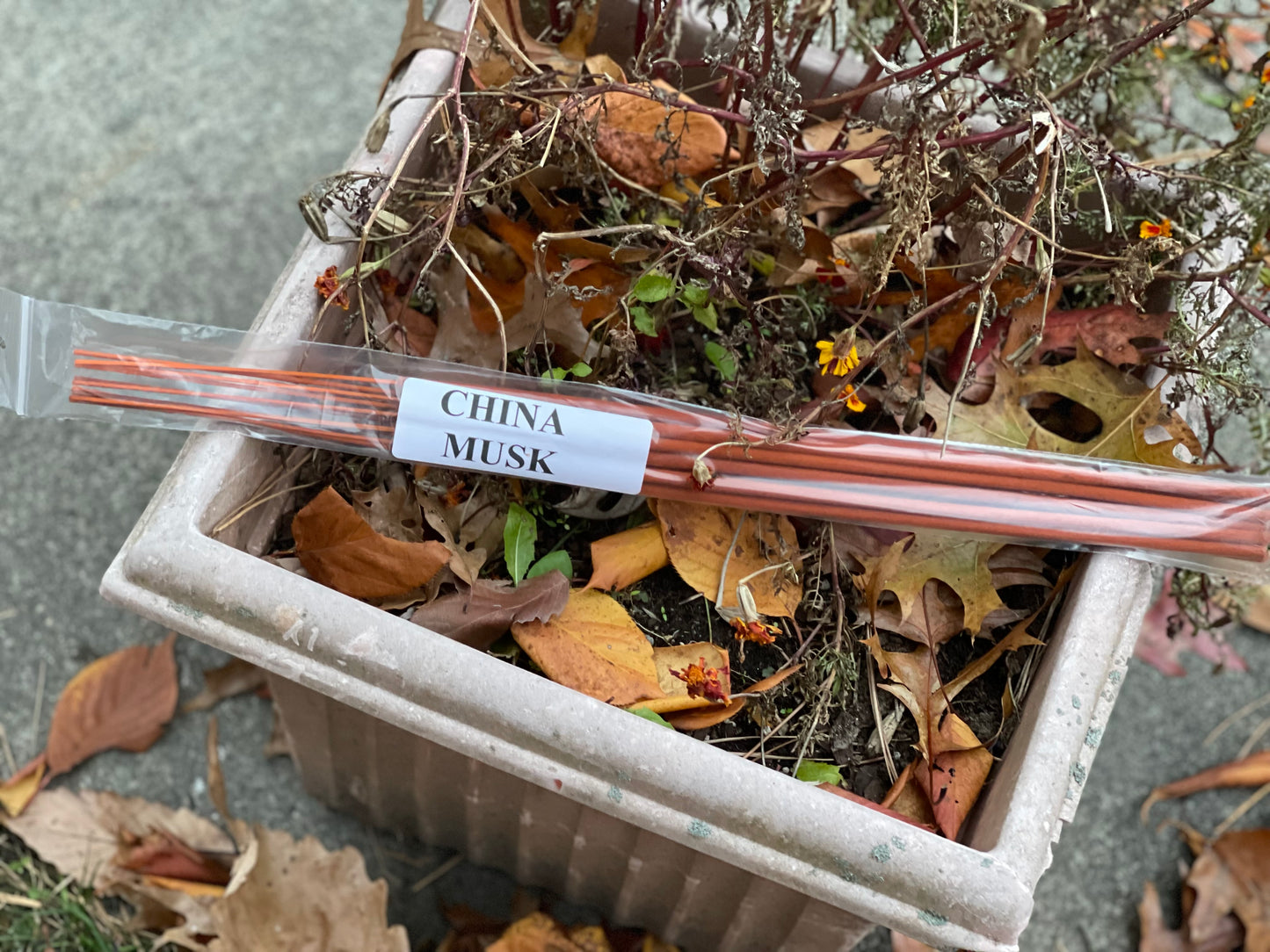 Large Incense Sticks